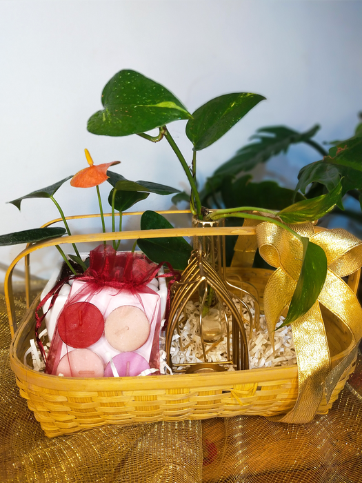 Anthurium Hamper