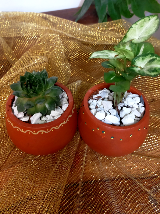 2 Pots Potli